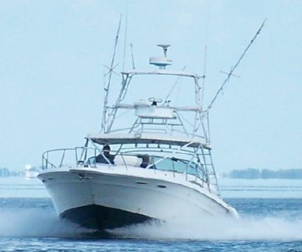 Used Fishing boats For Sale in Florida by owner | 1992 Sea Ray 400 Express Sport Fisher